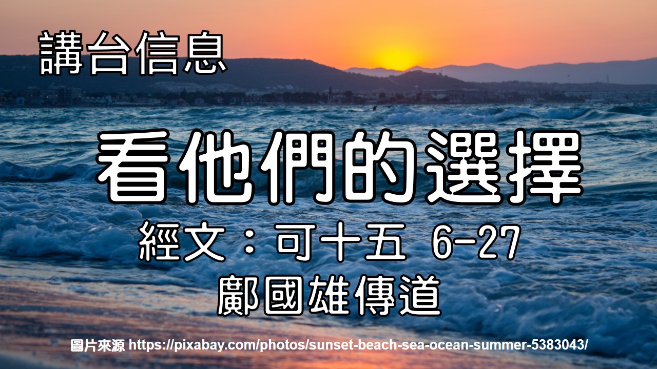 看他們的選擇