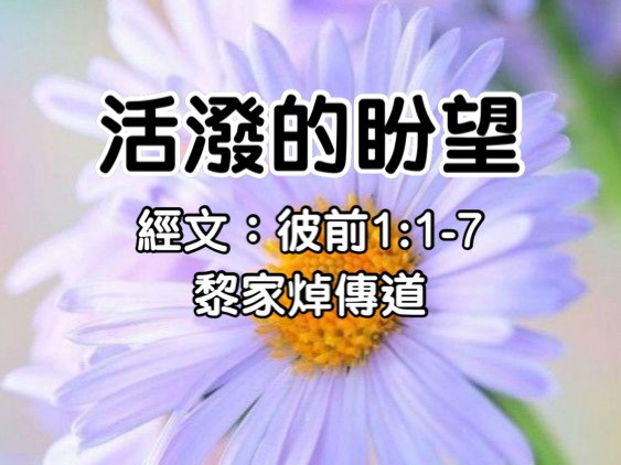 活潑的盼望
