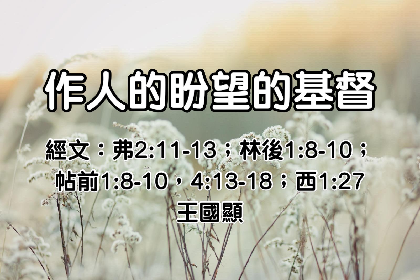 作人的盼望的基督