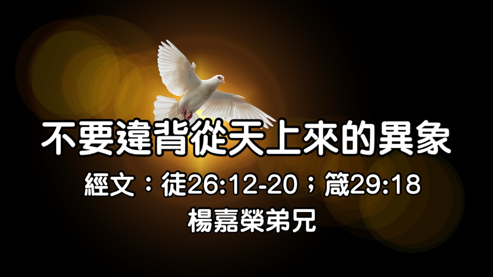 不要違背從天上來的異象