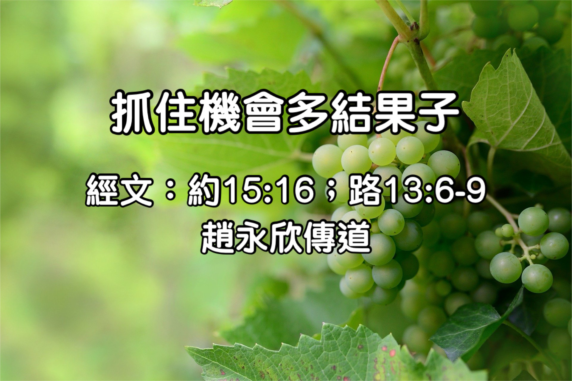 抓住機會多結果子
