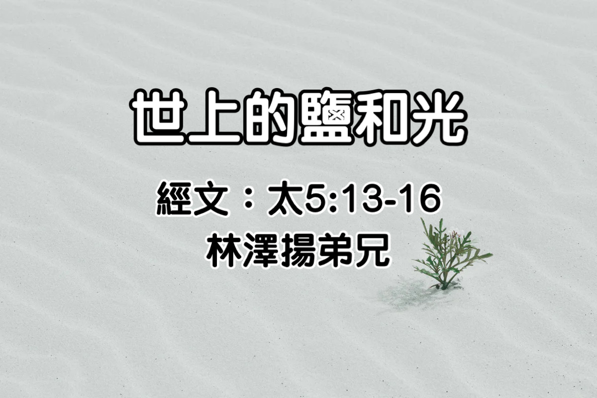 世上的鹽和光