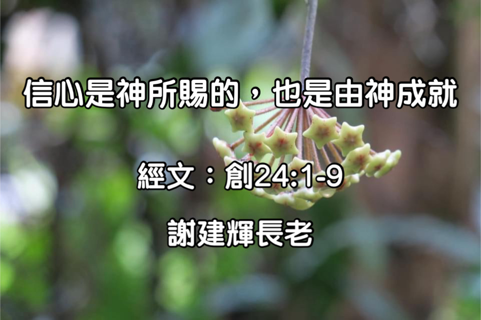 信心是神所賜，也是由神成就