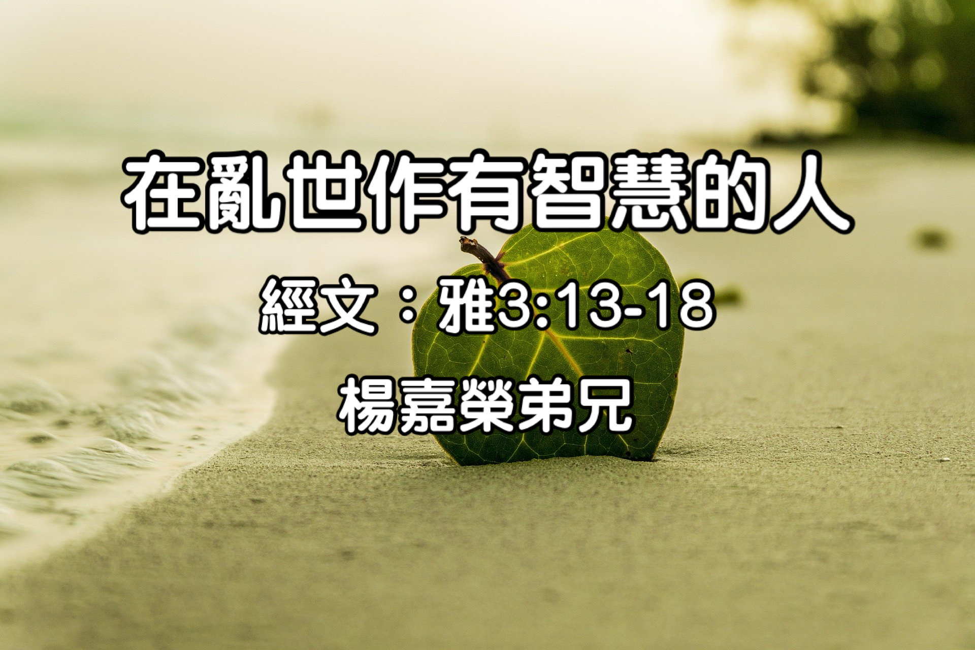 在亂世作有智慧的人