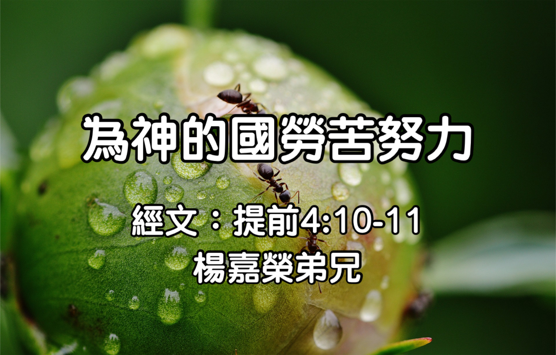 為神的國勞苦努力