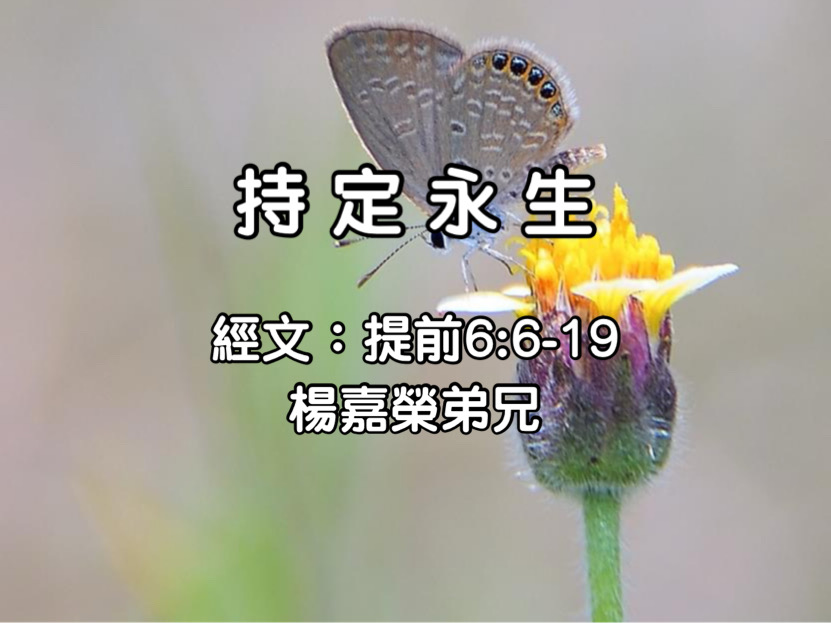 持定永生