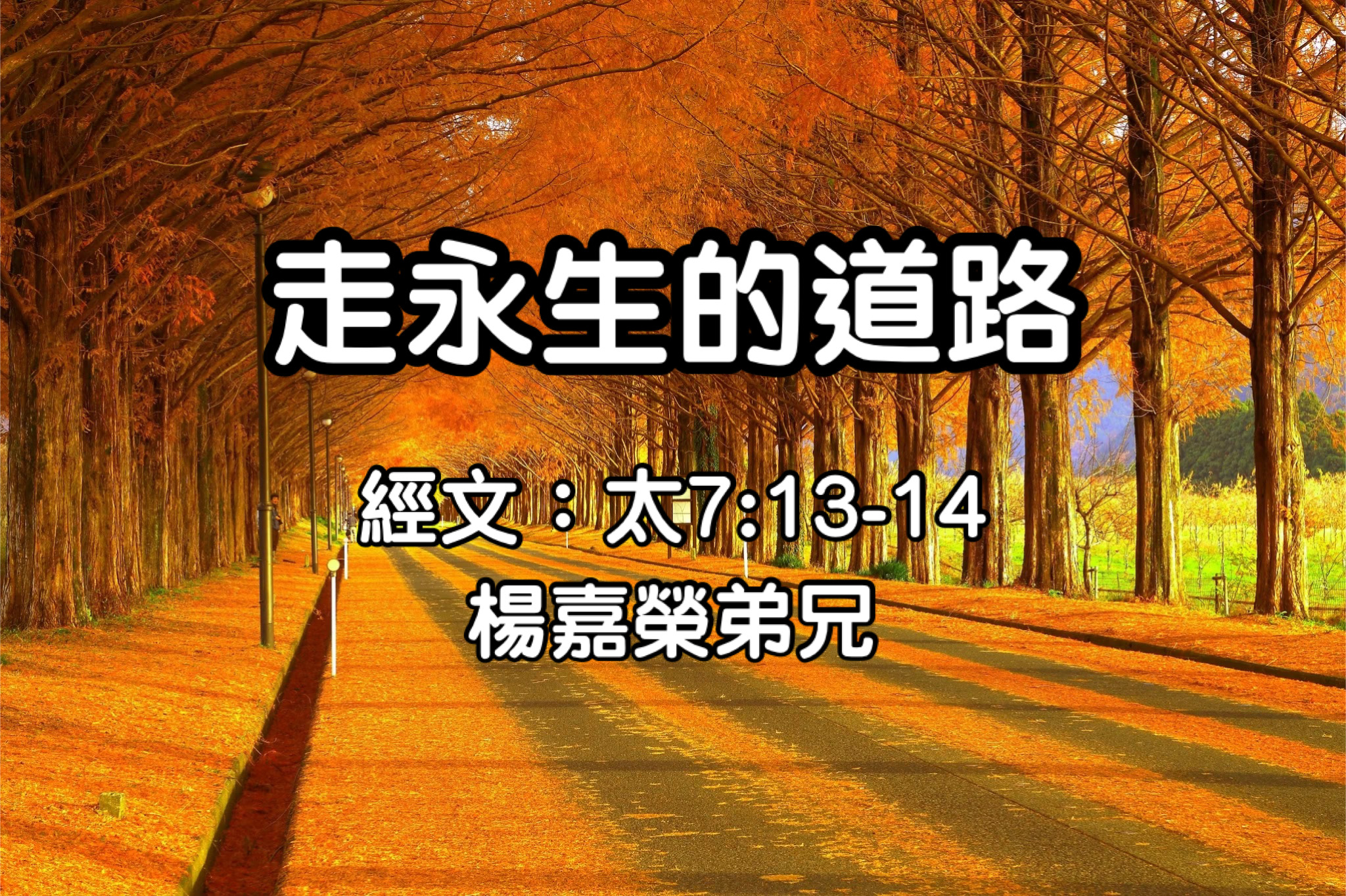 走永生的道路